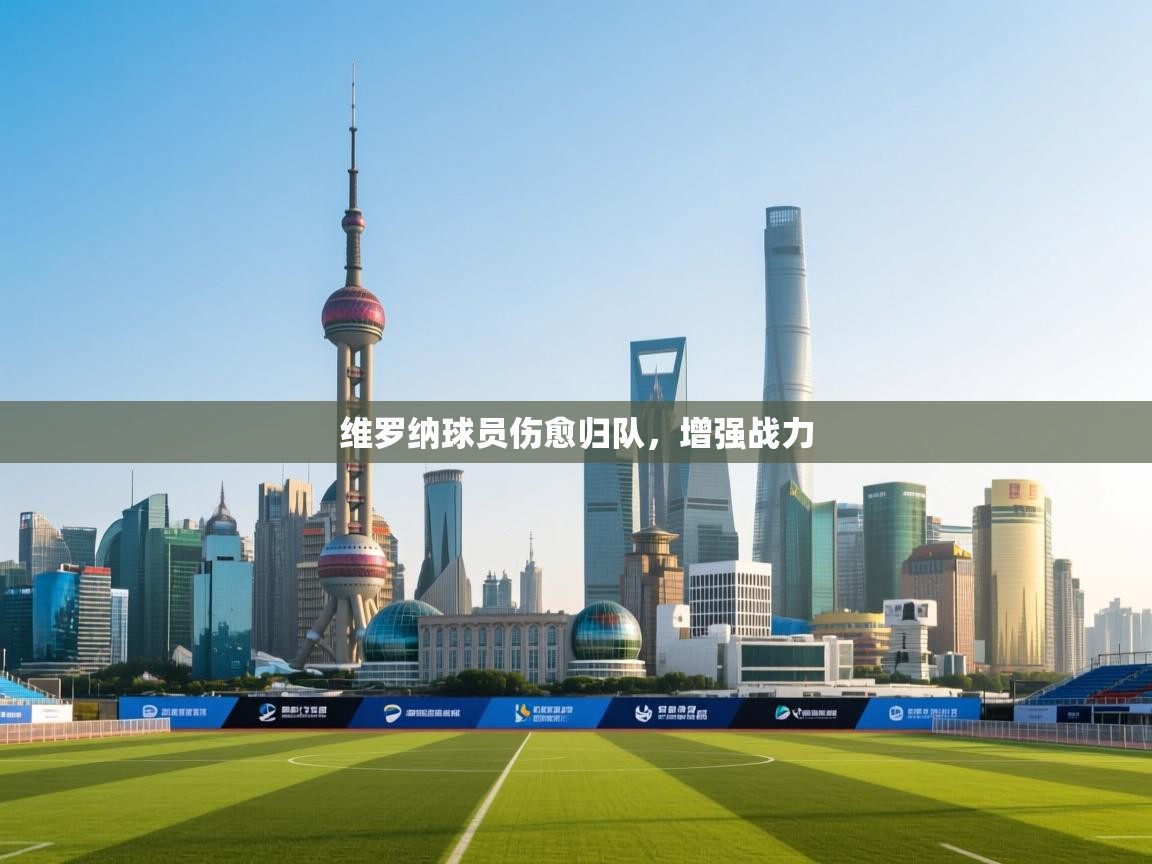 维罗纳球员伤愈归队，增强战力  第1张